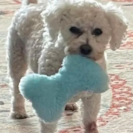 A And C Plot 21 2 Double Bedrooms Plot 21 With Hot Tub 1 Pet Only No Commercial Vans 4pm Check In