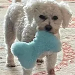 A And C Plot 21 Huge Hot Tub Pet Friendly No Commercial Vans