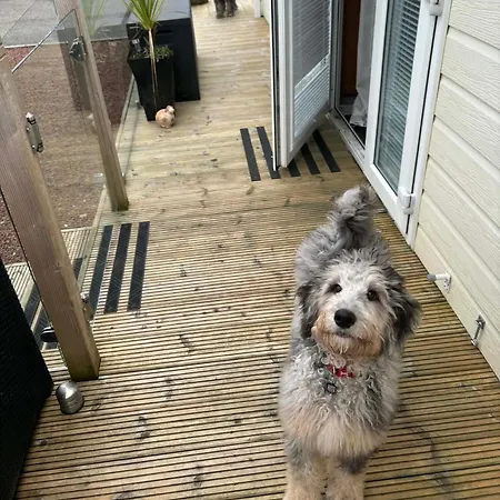 A And C Plot 21 Huge Hot Tub Pet Friendly No Commercial Vans キャンプ場